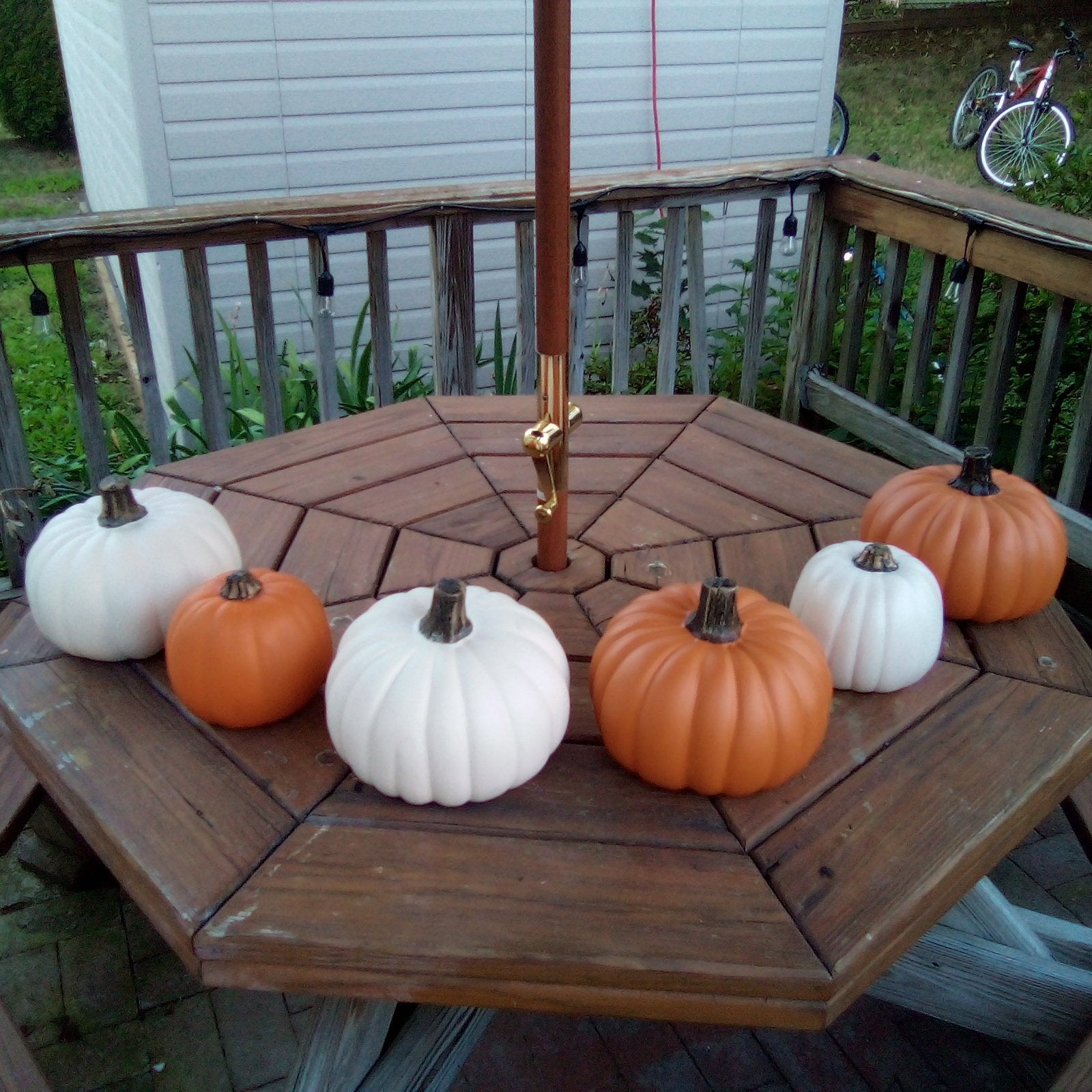 pumpkins-jpg.2562067