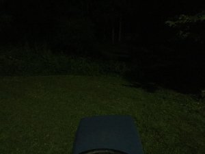 image.jpeg