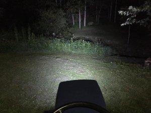 image.jpeg