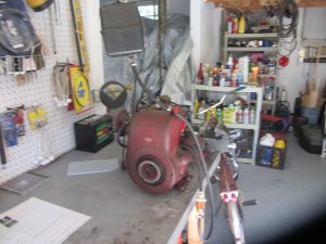 IMG_1933.JPG IMG_1933.JPG
