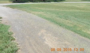 DSCN2029.JPG