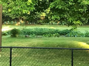 IMG_0409.jpg