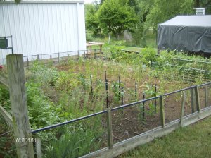 Gardens 2018 015.JPG