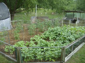 Gardens 2018 016.JPG