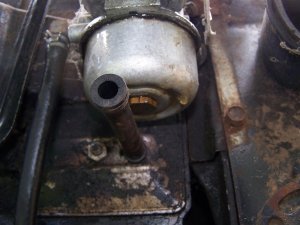 100_9595 (Medium).JPG
