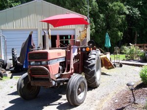 100_9620 (Medium).JPG