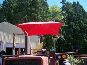 100_9621 (Medium).JPG