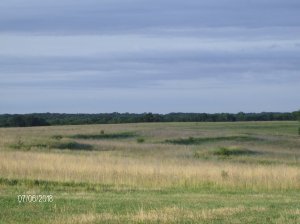 Farm 2018 048.JPG