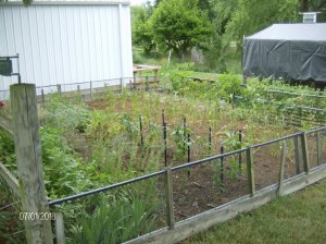 Gardens 2018 015.JPG