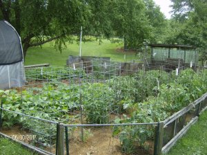 Gardens 2017 028.JPG