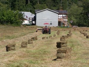 100_9638 (Medium).JPG