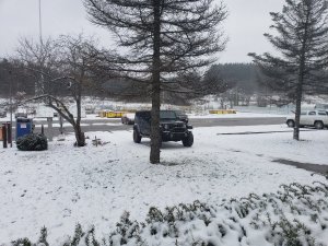 20190126_110929.jpg