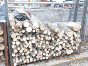 DSCN4457.JPG