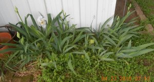 DSCN4583.JPG