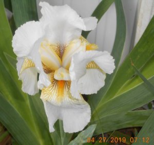 DSCN4584.JPG