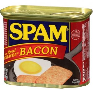 spam.JPG