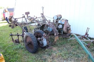 IMG_1963 (Medium).JPG