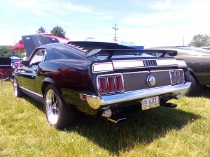IMG_20190609_122304.jpg