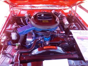 IMG_20190609_123138.jpg