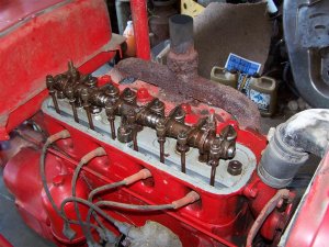 100_1786 (Medium).JPG