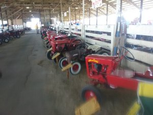 IMG_20190712_092805.jpg