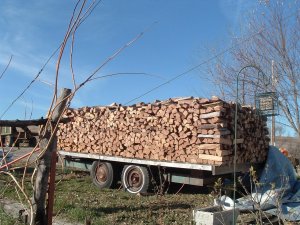 Wood-1-08.JPG