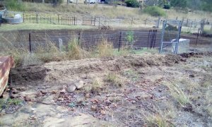 IMG_20190829_150222.jpg