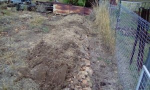 IMG_20190829_150359.jpg