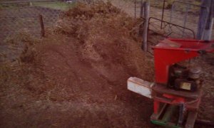 IMG_20190717_172620.jpg