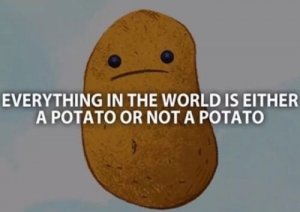 not potato.jpg