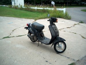 HPIM1317.JPG