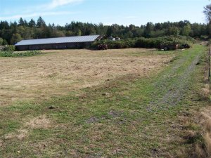 100_2043 (Medium).JPG