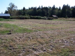 100_2050 (Medium).JPG