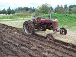 100_2071 (Medium).JPG