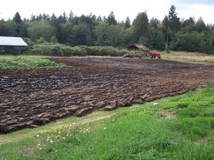100_2083 (Medium).JPG