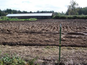 100_2086 (Medium).JPG
