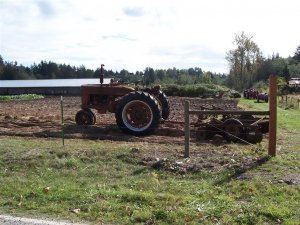 100_2087 (Medium).JPG