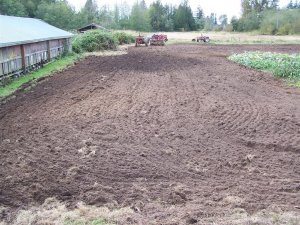 100_2092 (Medium).JPG