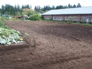 100_2093 (Medium).JPG