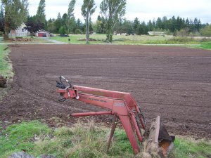 100_2103 (Medium).JPG