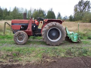 100_2105 (Medium).JPG