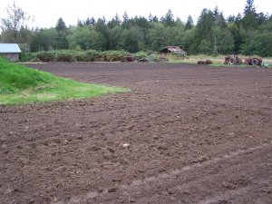 100_2115 (Medium).JPG