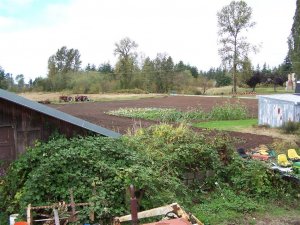 100_2121 (Medium).JPG