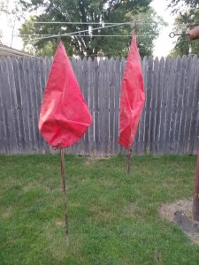ABF0339E-F39E-4A5E-874D-B6AD38E99671.jpeg