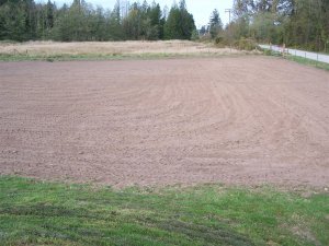 100_2131 (Medium).JPG