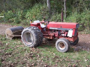 100_2142 (Medium).JPG