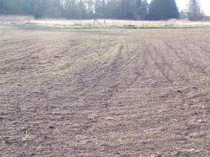 100_2173 (Medium).JPG