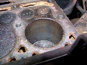 100_2203 (Medium).JPG