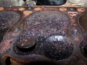 100_2204 (Medium).JPG