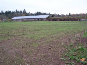 100_2217 (Medium).JPG